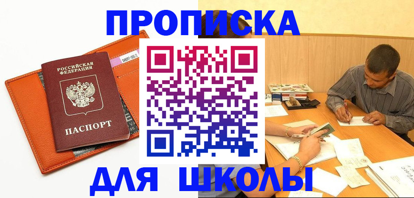форма 3 в Новгородской области
